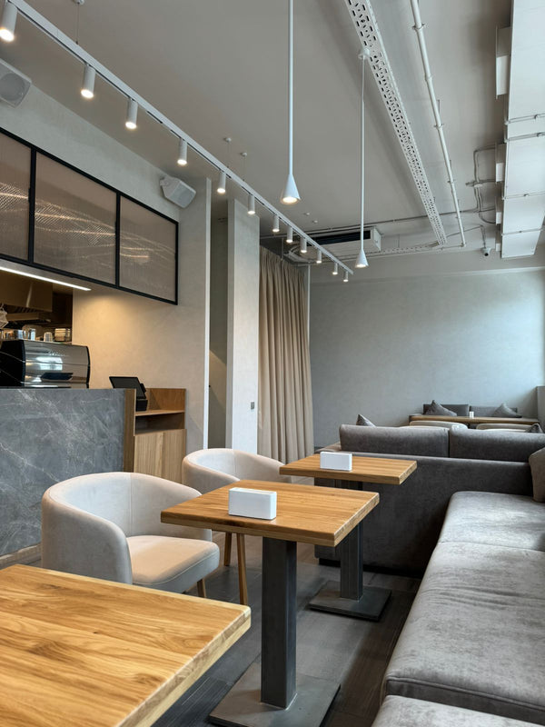Alkantarus suede-effect paint – Brush Finish, Restaurant, Wrocław