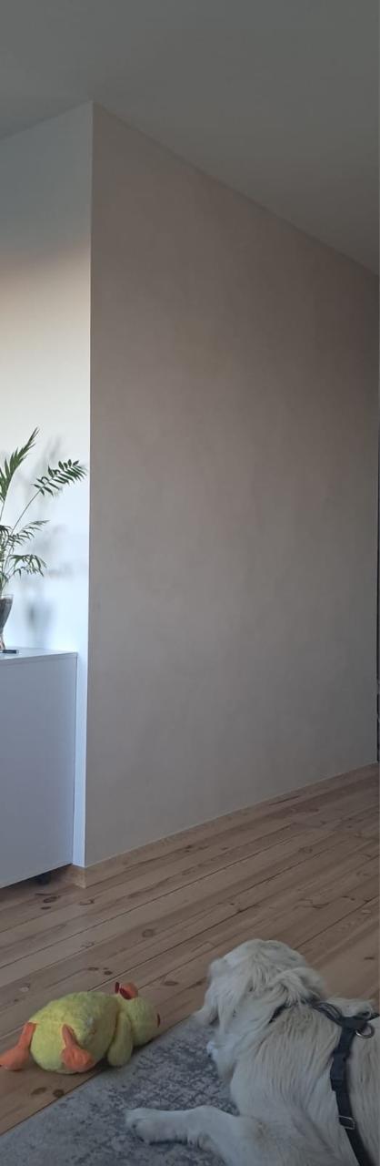 98. #3 Almond Cream - Limewash Inspiration
