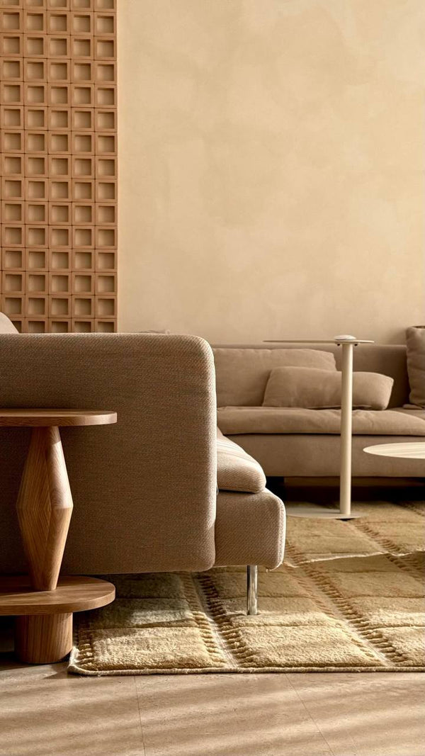 152. #227 Sunlit Beige – Limewash Inspiration