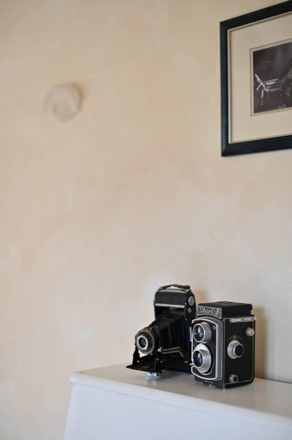Gallery image 6