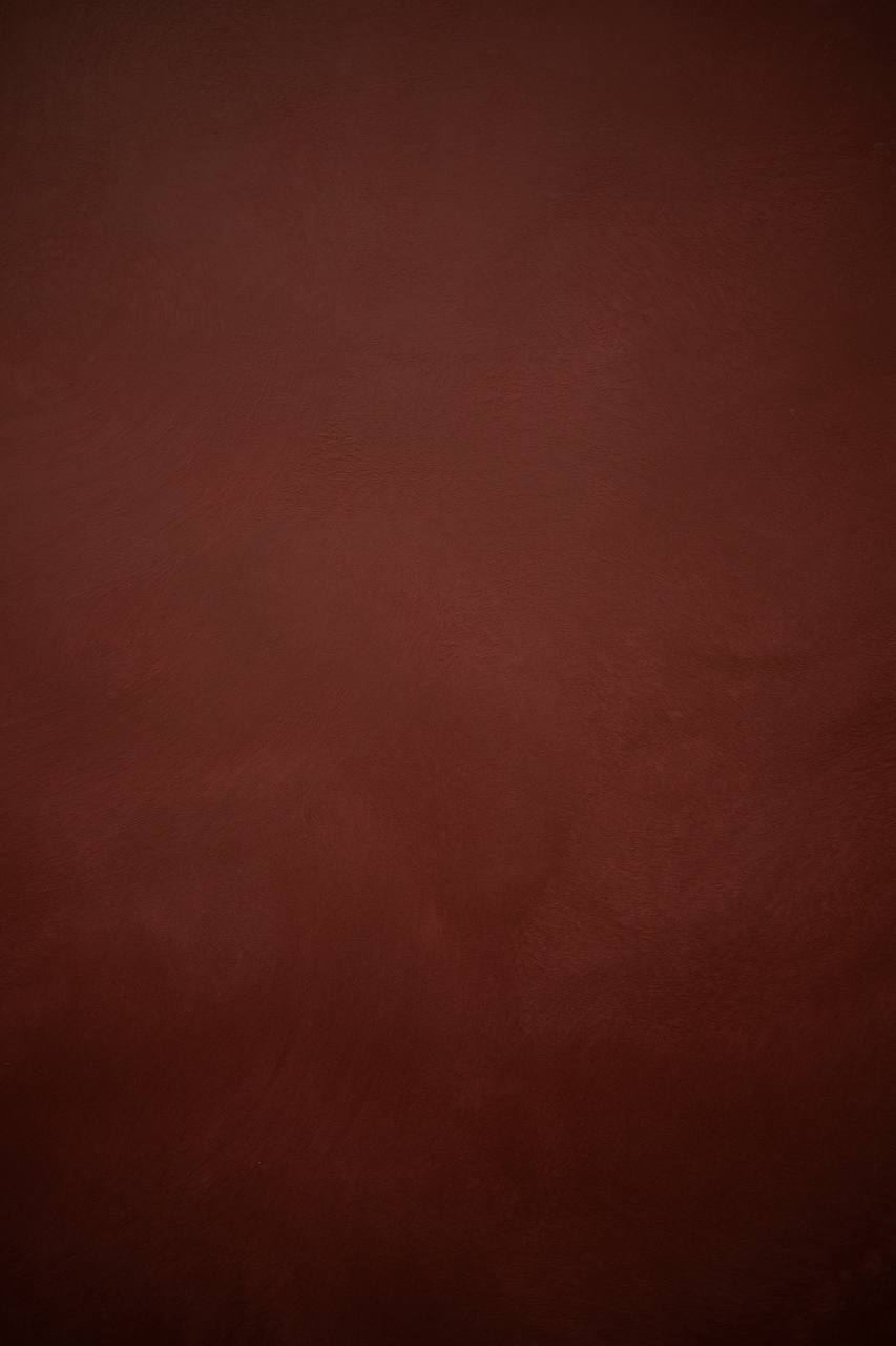 #12 Red Oxide Alkantarus suede-effect paint on a wall