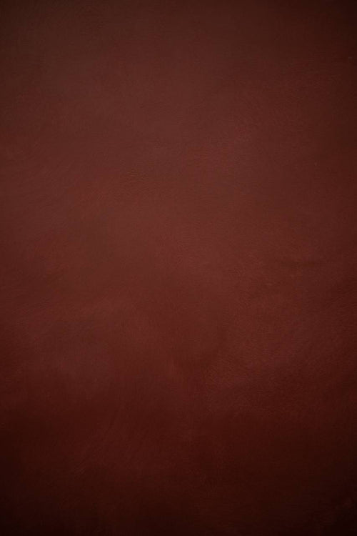 #12 Red Oxide Alkantarus suede-effect paint on a wall