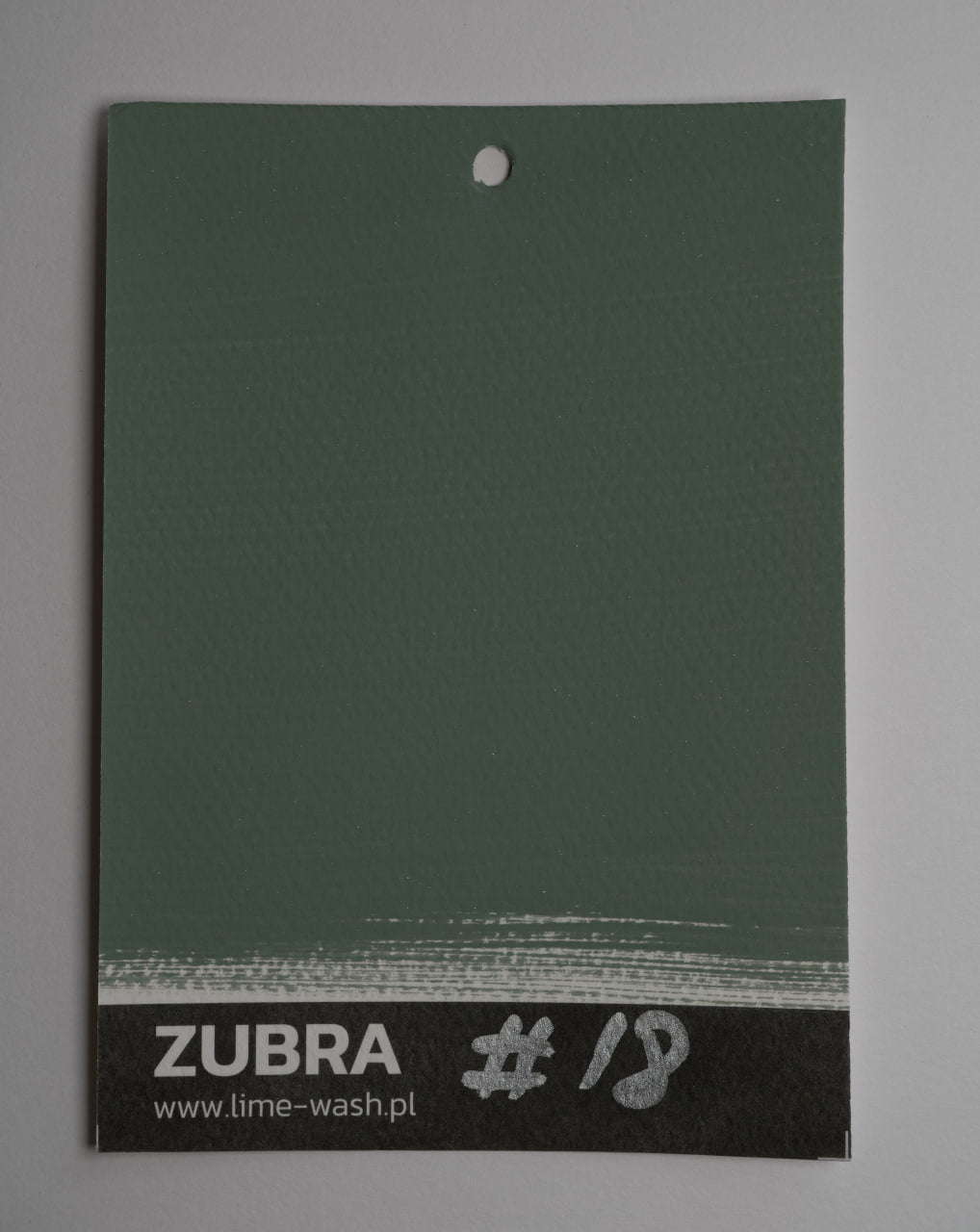 Сolor Card – Limewash Paint