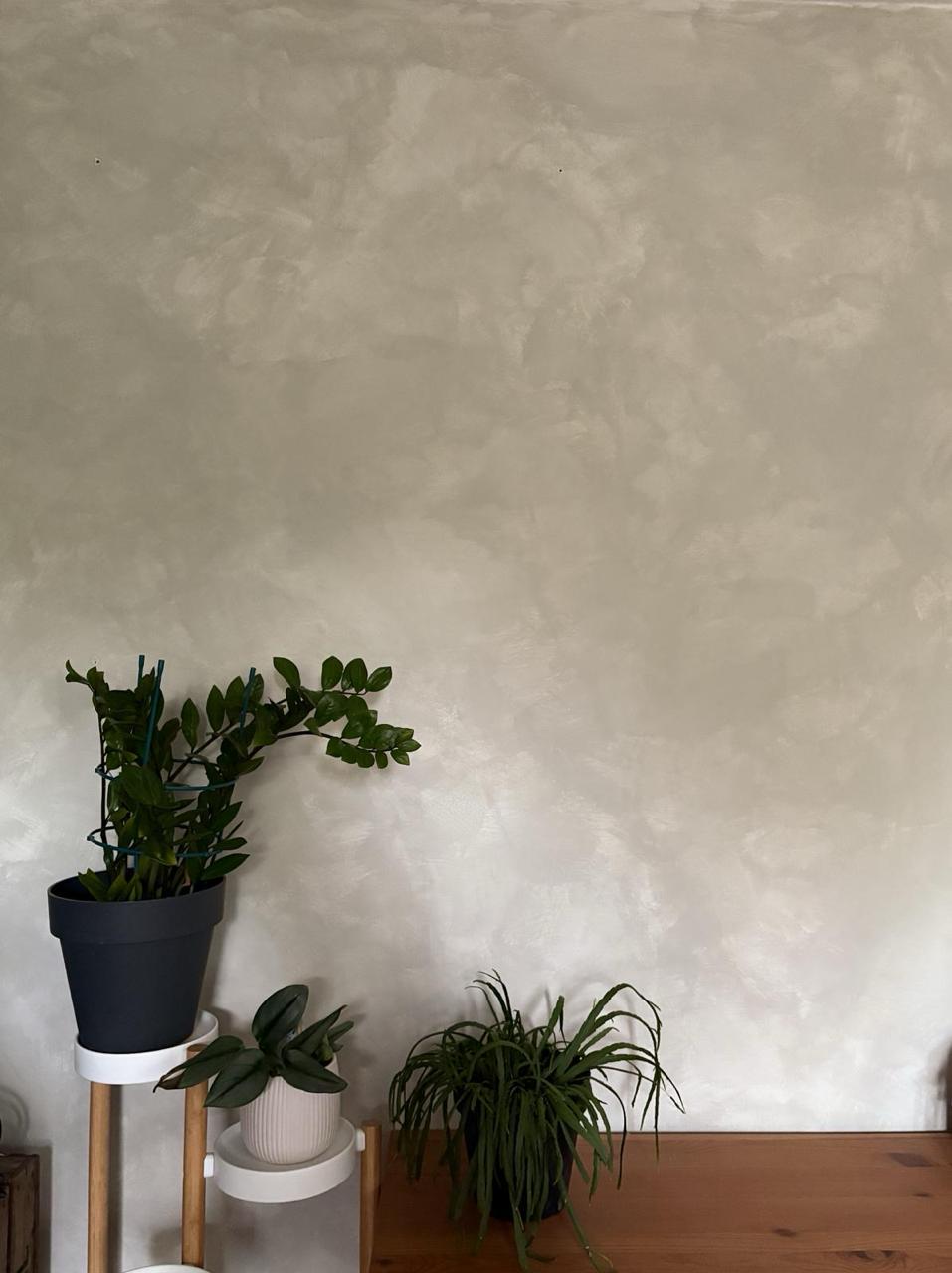 #188 Béton Chaud – Limewash Paint