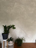 #188 Béton Chaud – Limewash Paint