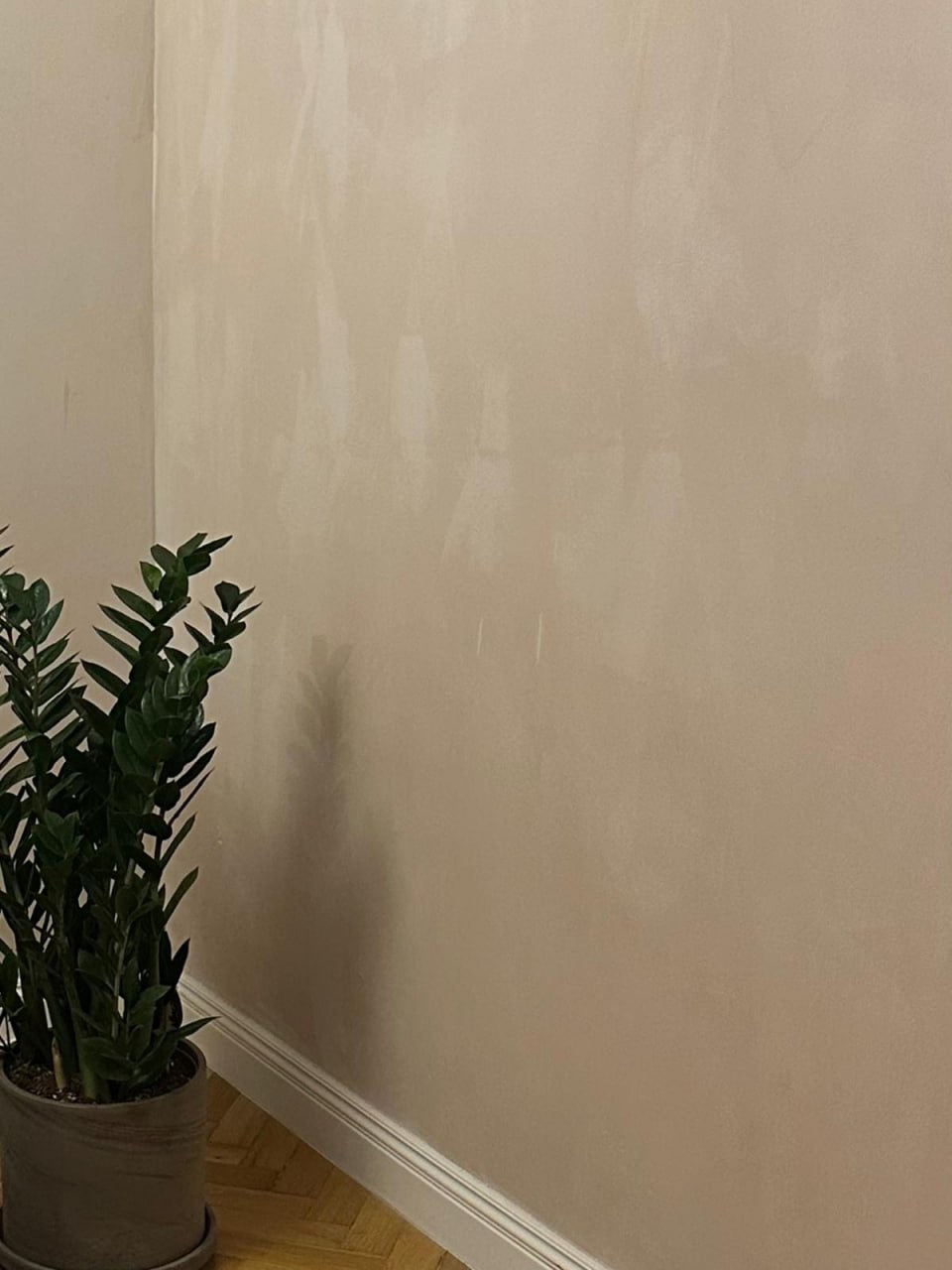 #218 Rose Beige limewash paint on a wall – customer project, photo 5