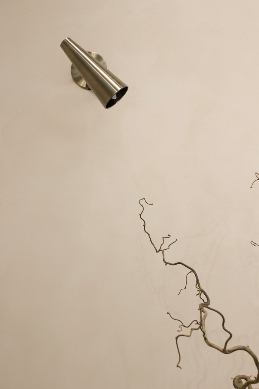 #208 Young Fern limewash paint on a wall – customer project, photo 1