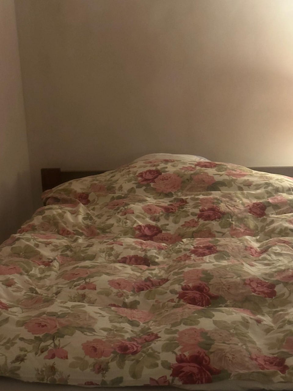 #218 Rose Beige limewash paint on a wall – customer project, photo 3