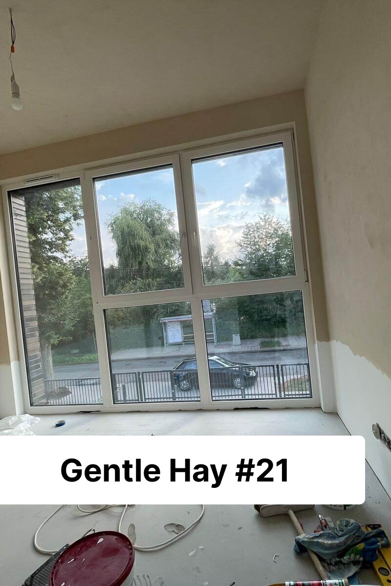 Gentle Hay limewash paint swatch close-up