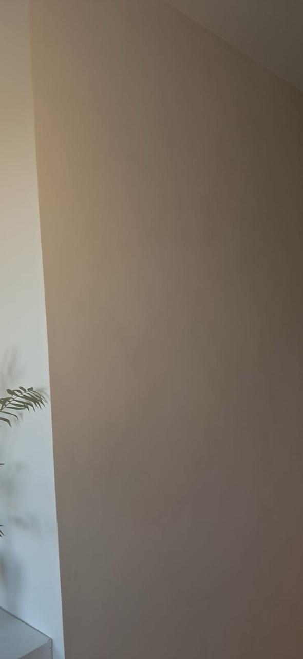 #3 Almond Cream – Limewash Paint