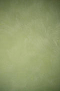 #36 Golden Herb Alkantarus suede-effect paint on a wall