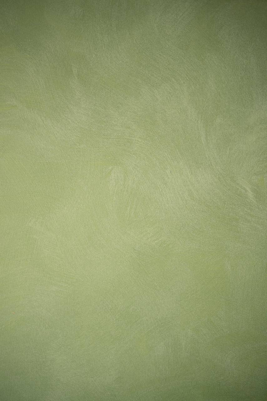 #36 Golden Herb Alkantarus suede-effect paint on a wall