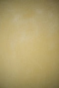 #38 Honey Sand Alkantarus suede-effect paint on a wall