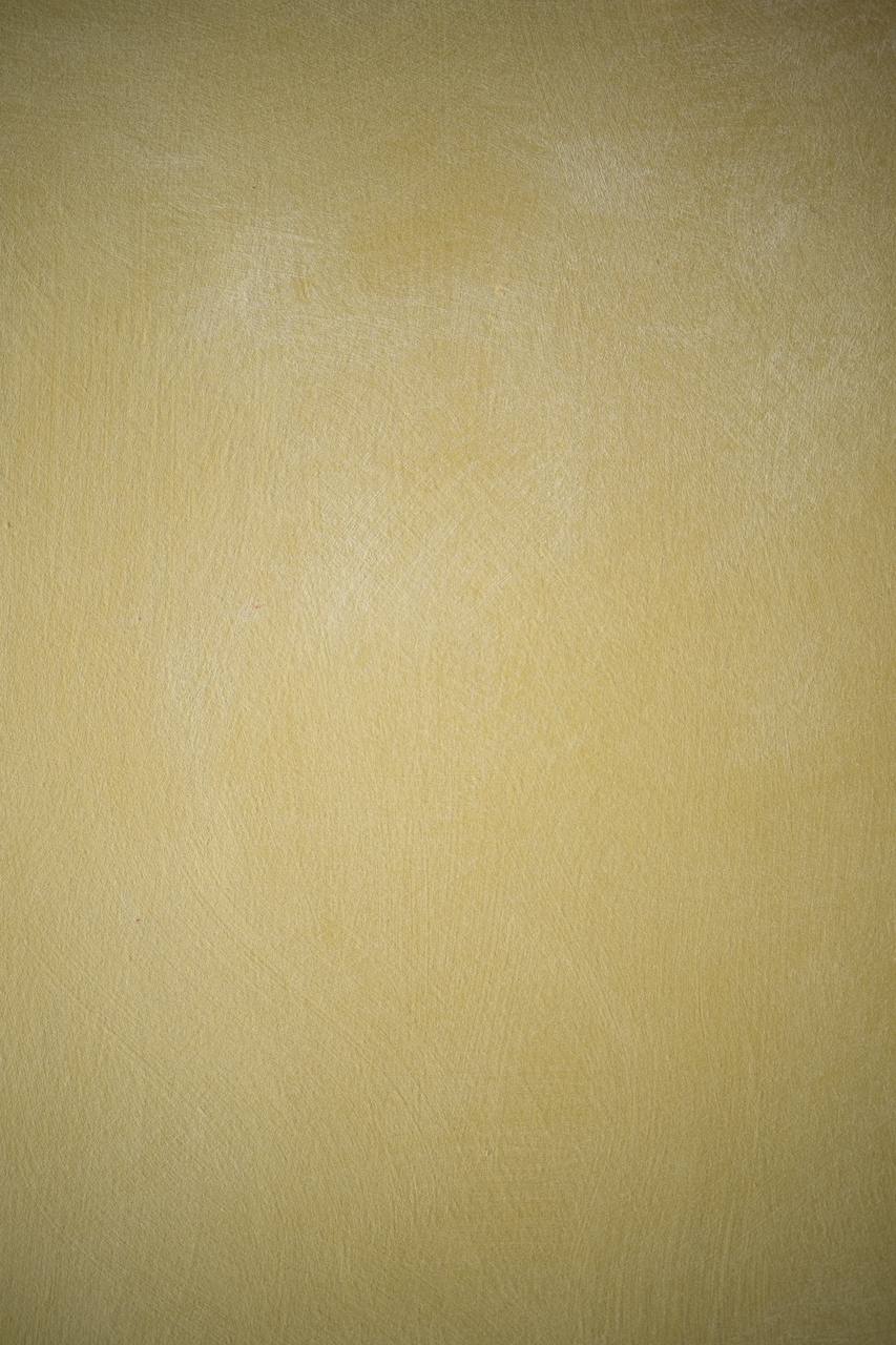 #38 Honey Sand Alkantarus suede-effect paint on a wall