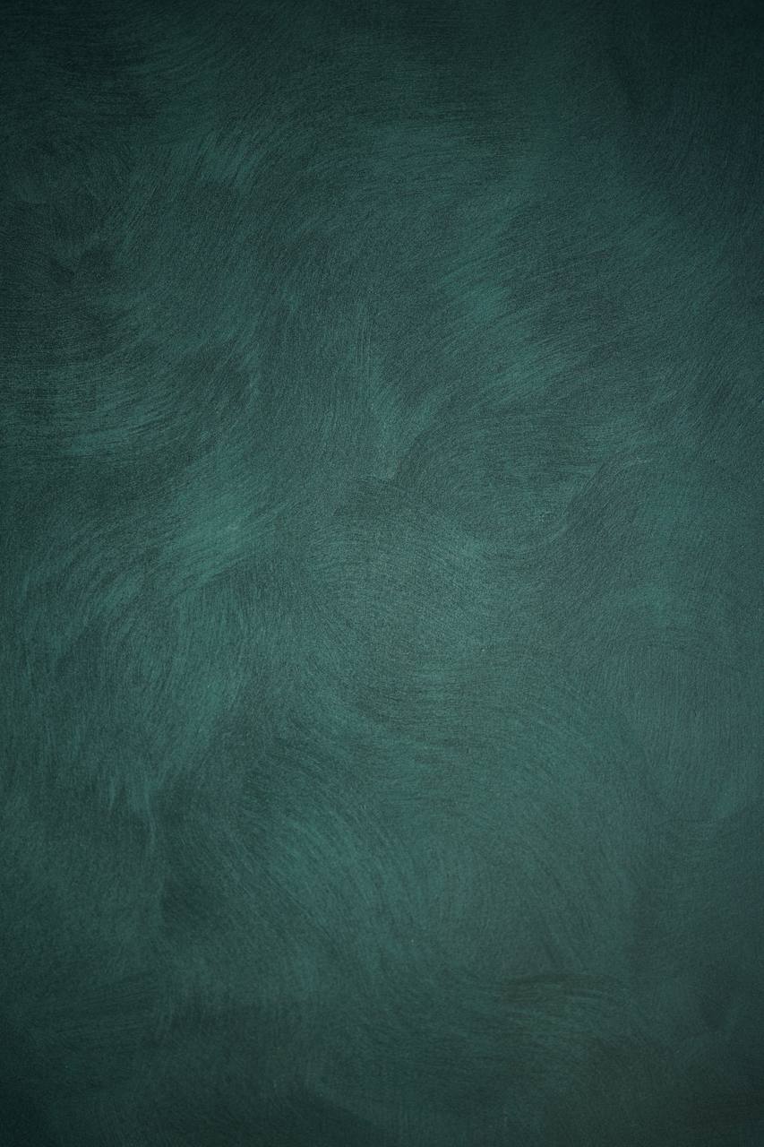 #42 Herbal Shadow Alkantarus suede-effect paint on a wall