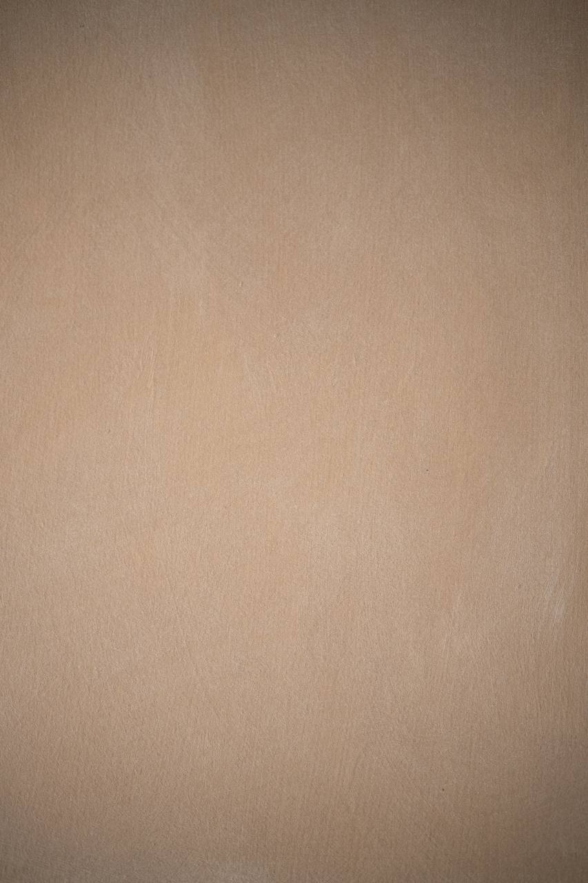 #4 Nude Clay Alkantarus suede-effect paint on a wall