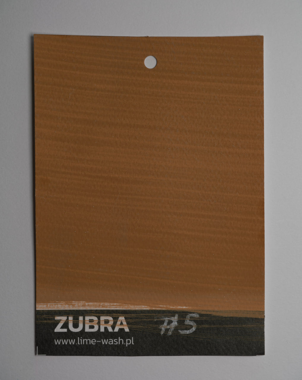 #5 Cinnamon Roll – Limewash Paint