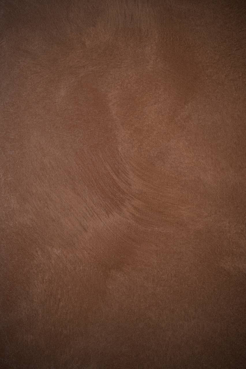 #6 Copper Clay Alkantarus suede-effect paint on a wall