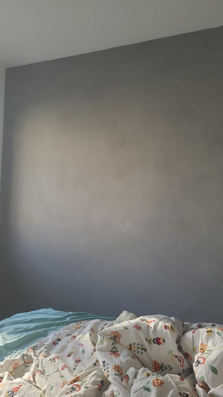 #73 Volcanic Air  – Limewash Paint