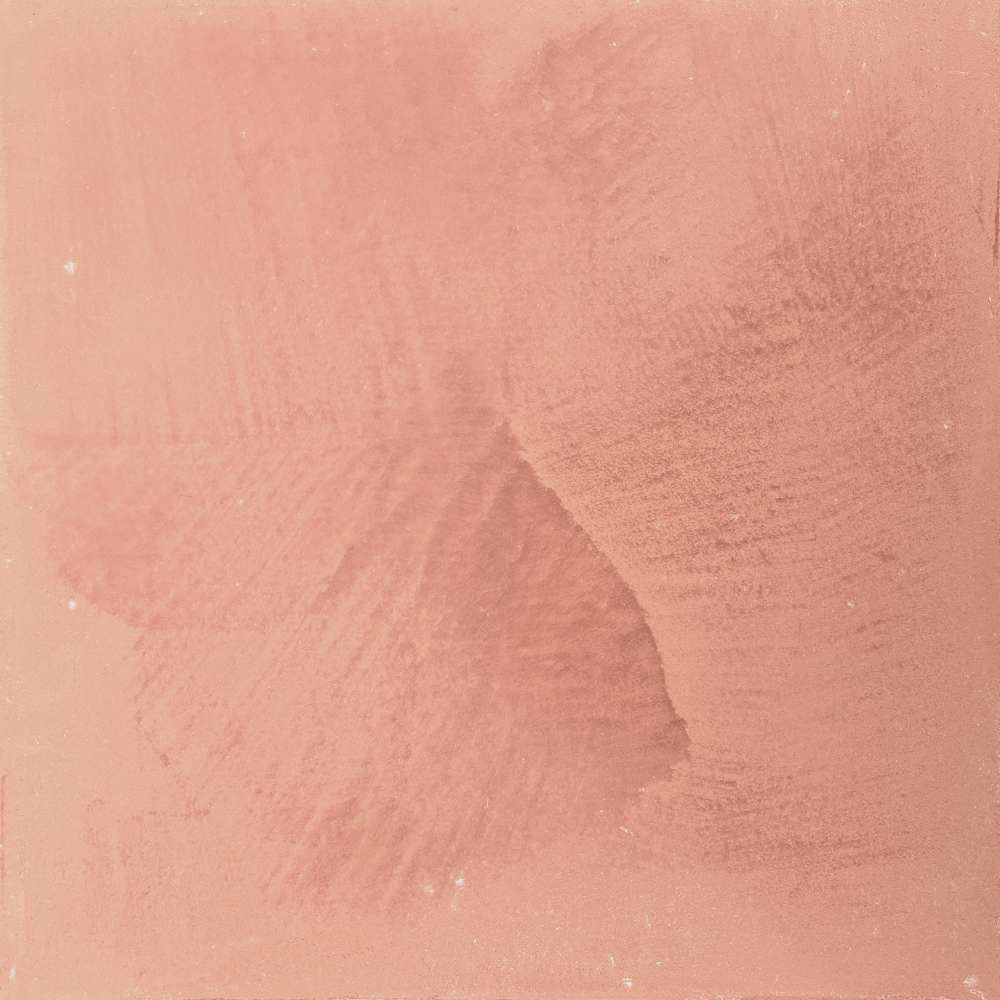 Autumn Clay Marmorinus lime plaster, close-up of the marble-effect texture