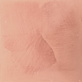 Autumn Clay Marmorinus lime plaster, close-up of the marble-effect texture