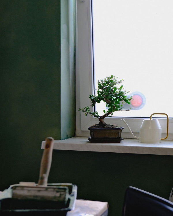Gallery image 1