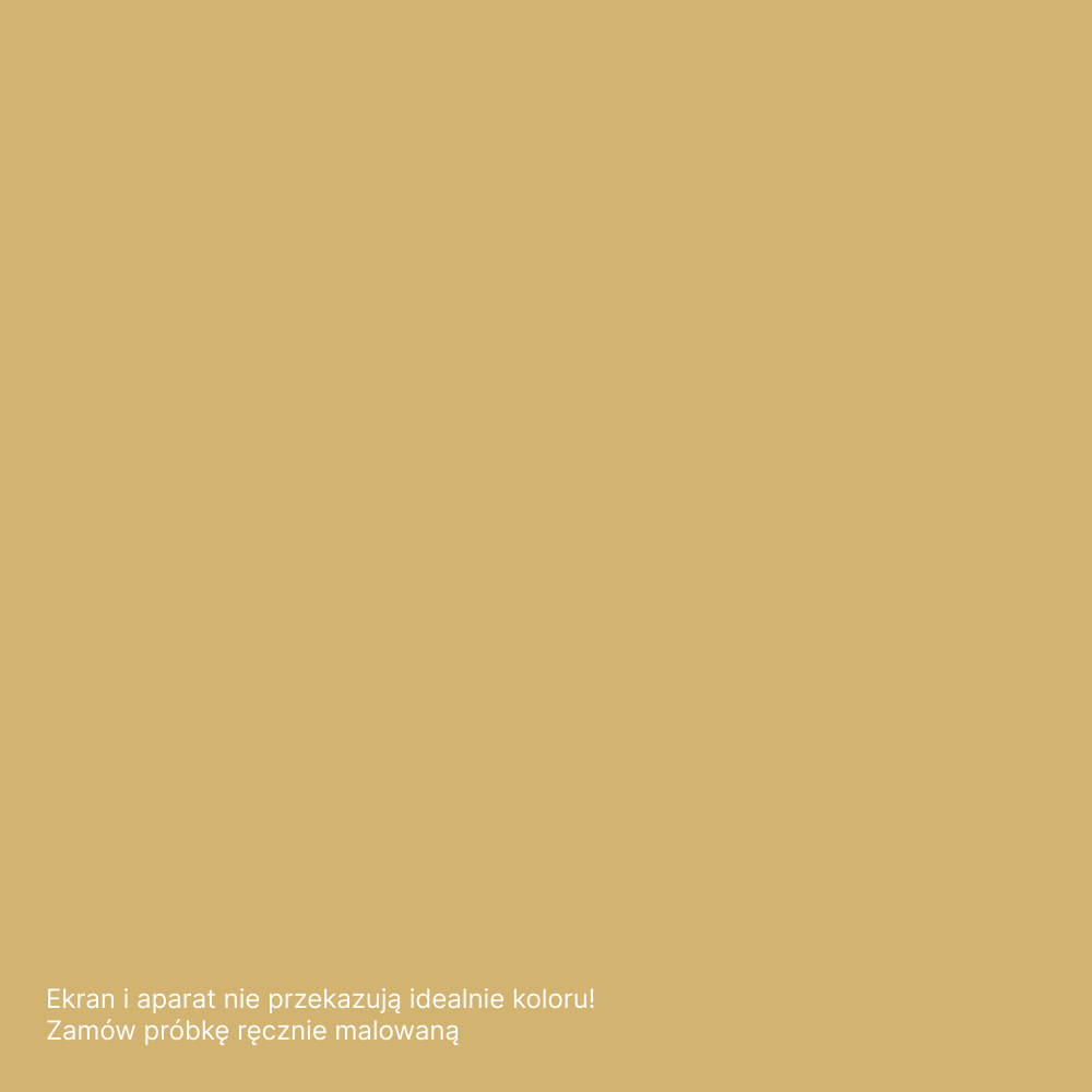 Golden Wheat Marmorinus lime plaster colour swatch