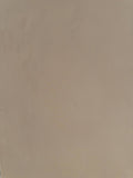 #1 Desert Clay Romanus clay plaster on a wall, close-up of the matte texture
