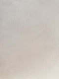 #4 Mineral Beige Romanus clay plaster on a wall, close-up of the matte texture