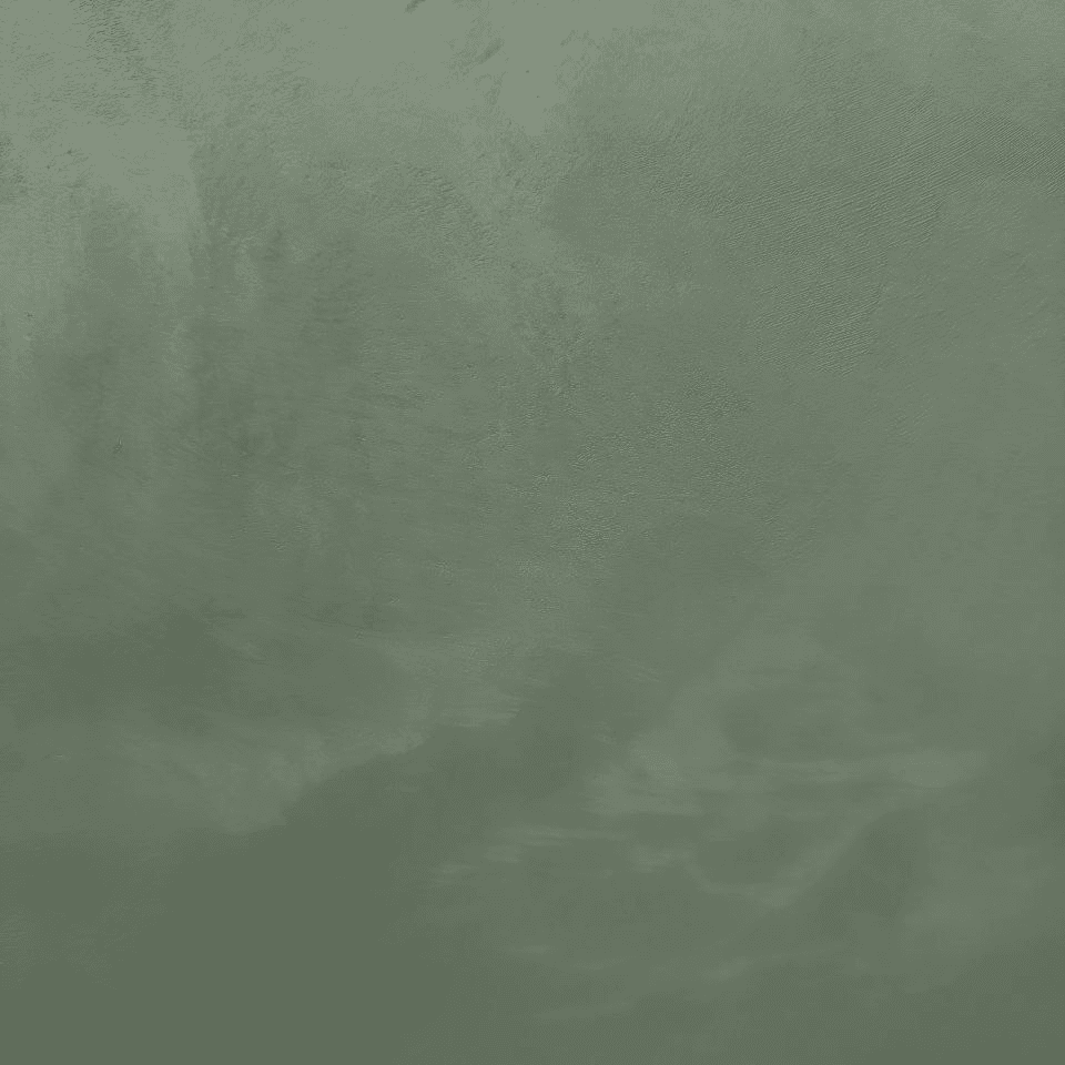 #16 Herb Velvetus decorative silk stucco, close-up of the finish