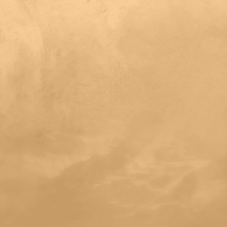 #29 Honey Velvetus decorative silk stucco, close-up of the finish