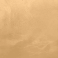#29 Honey Velvetus decorative silk stucco, close-up of the finish