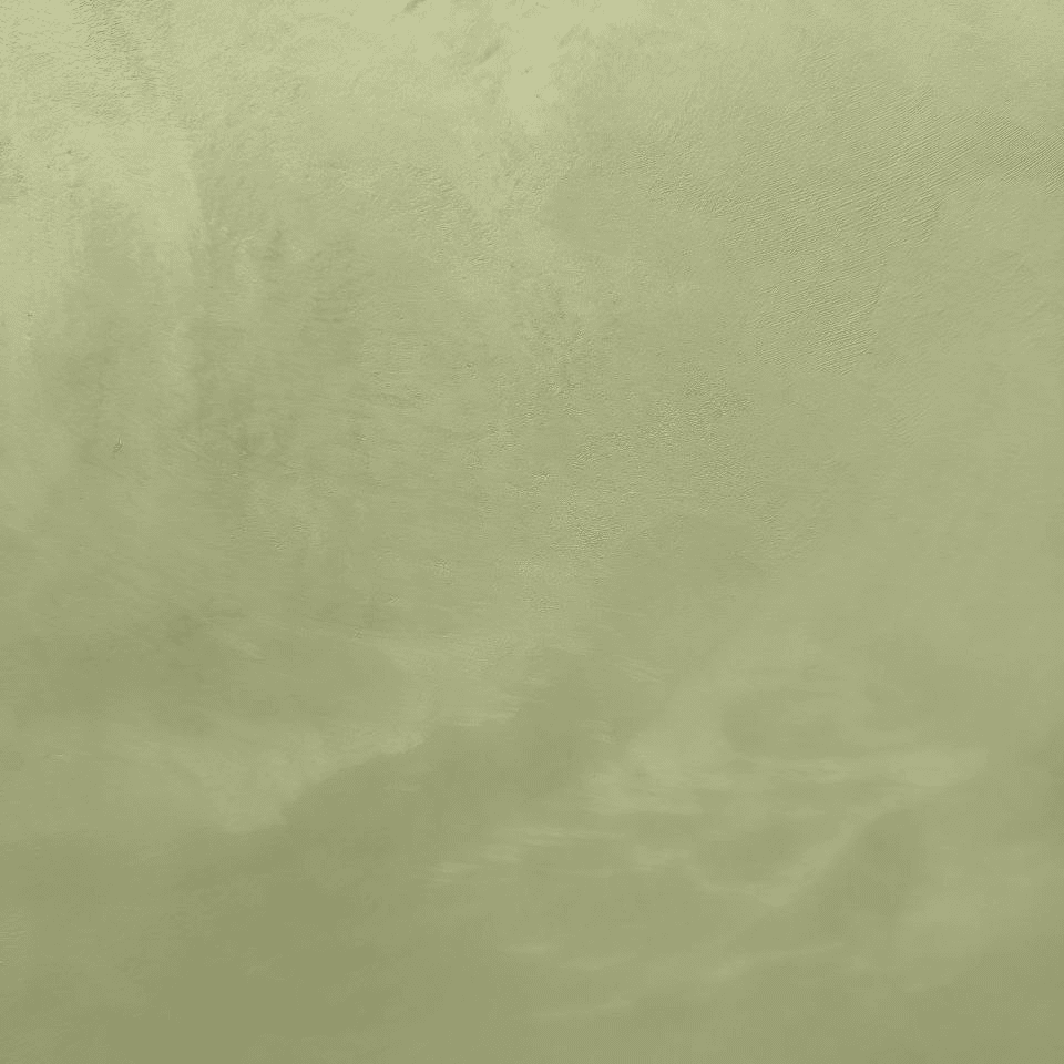 #36 Field Velvetus decorative silk stucco, close-up of the finish