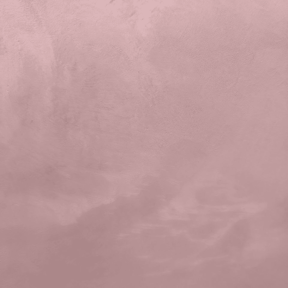 #39 Blossom Velvetus decorative silk stucco, close-up of the finish
