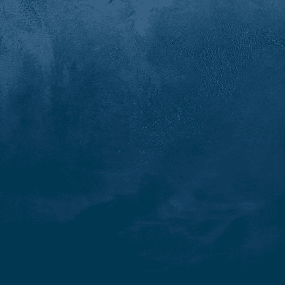 #43 Ocean Velvetus decorative silk stucco, close-up of the finish