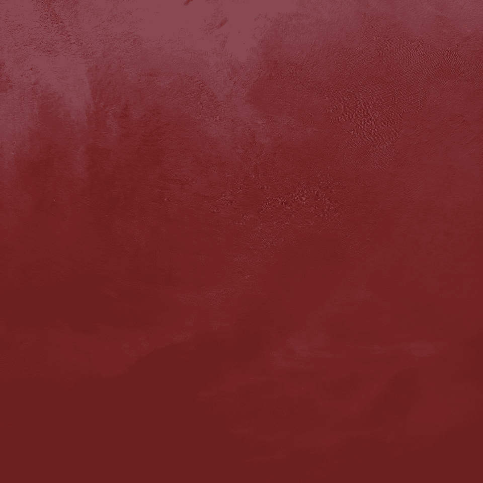 #45 Ruby Velvetus decorative silk stucco, close-up of the finish