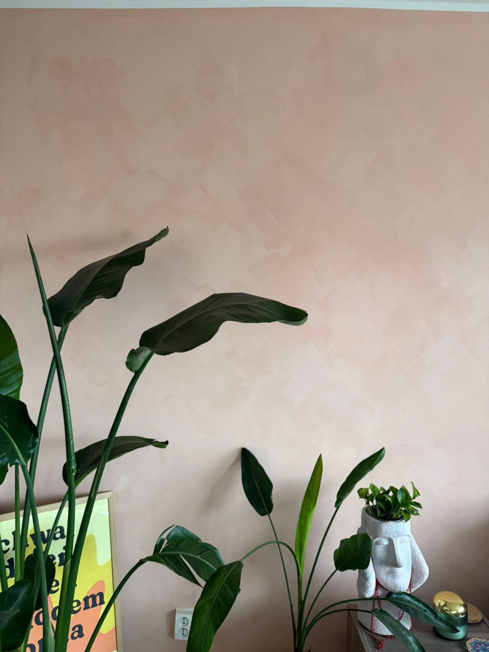 #65 Dusty Coral limewash paint on a wall – customer project
