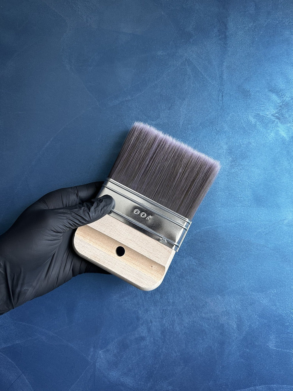 Decorative brush on a wall finished in navy decorative paint