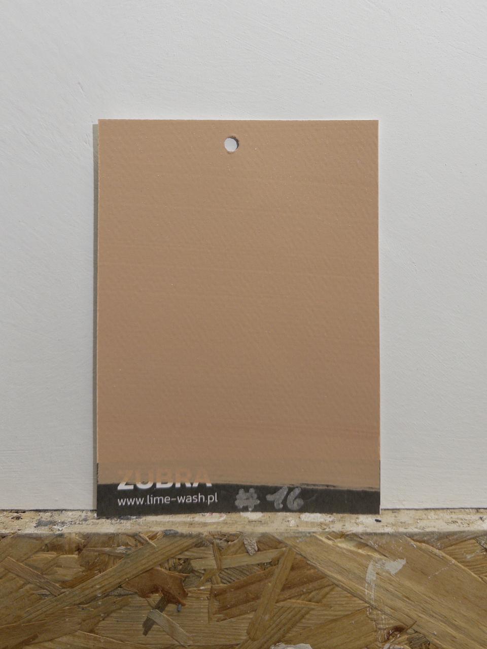 #16 Cookie Clay – Limewash Paint