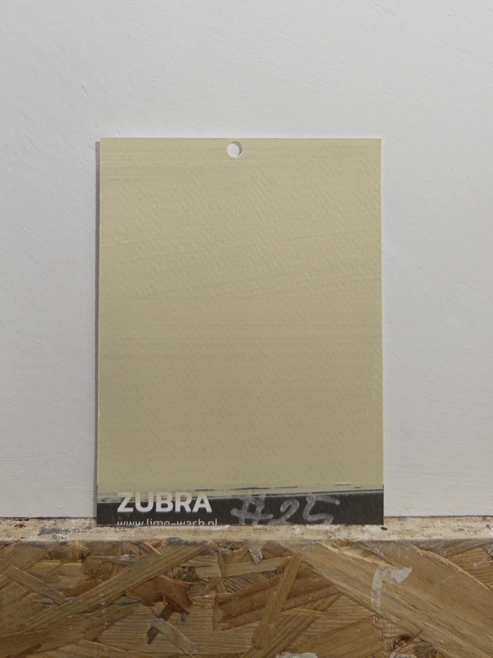 #25 Yellow Herb – Limewash Paint