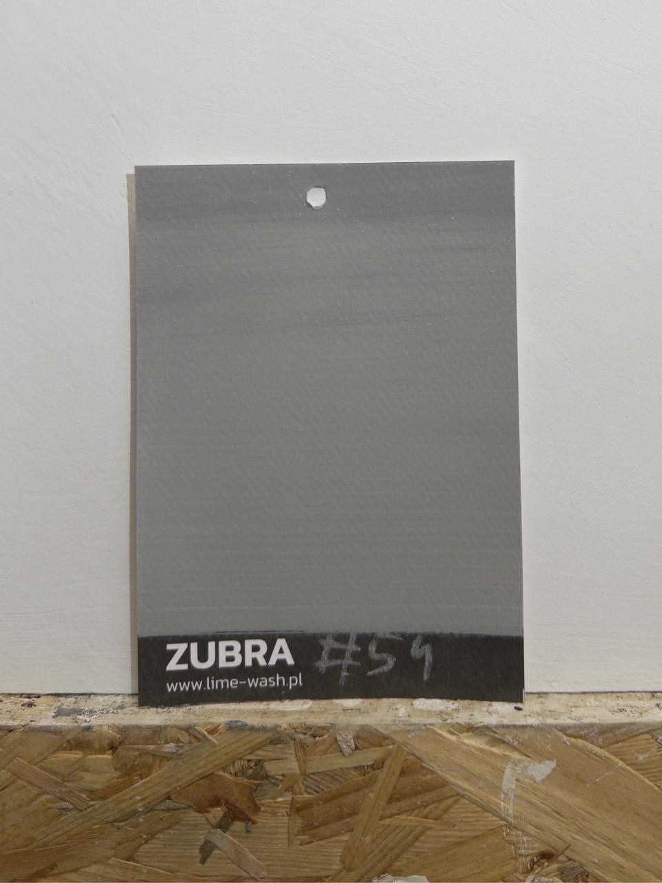 #54 Wet Concrete – Limewash Paint