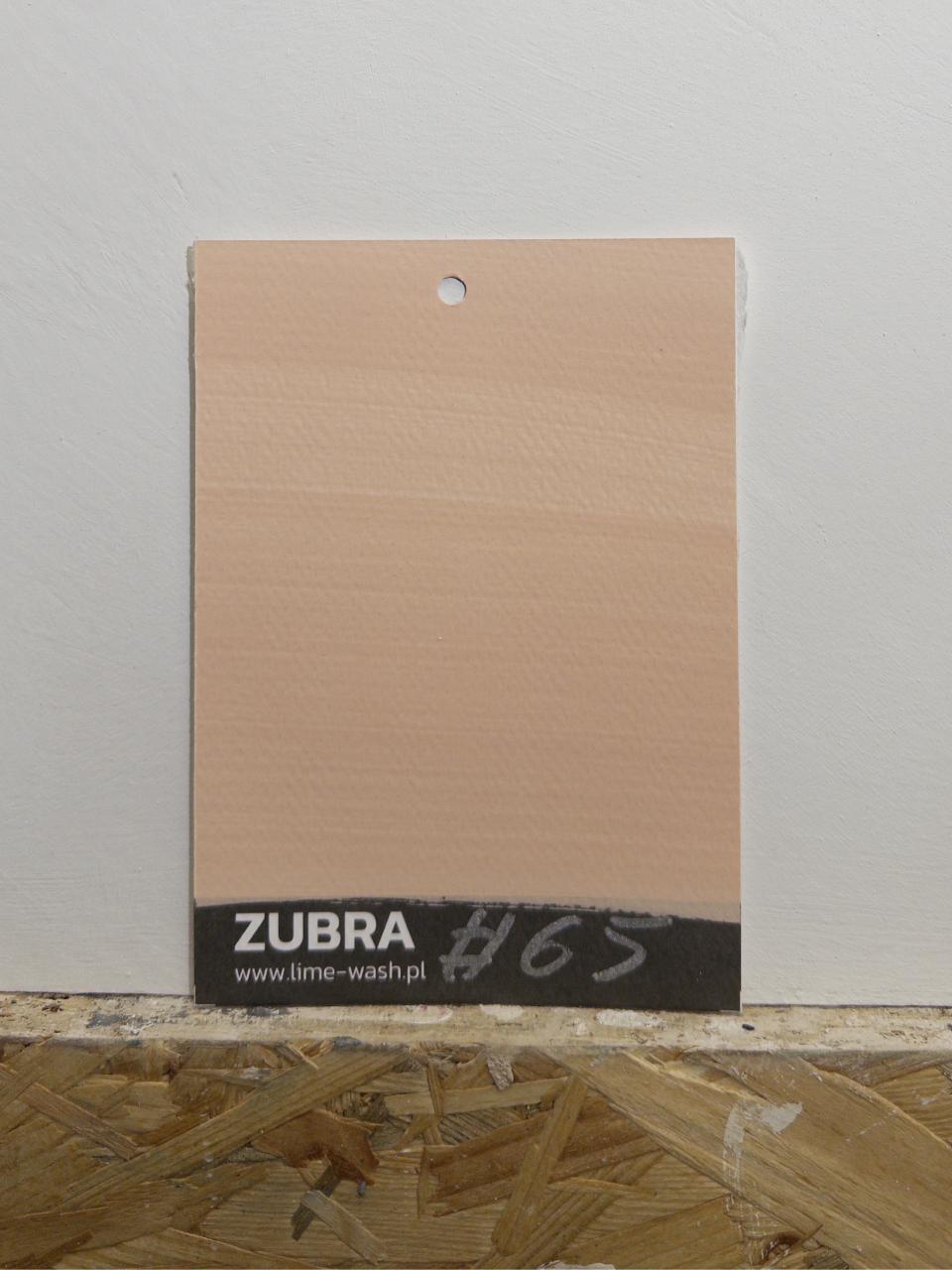 #65 Dusty Coral  – Limewash Paint