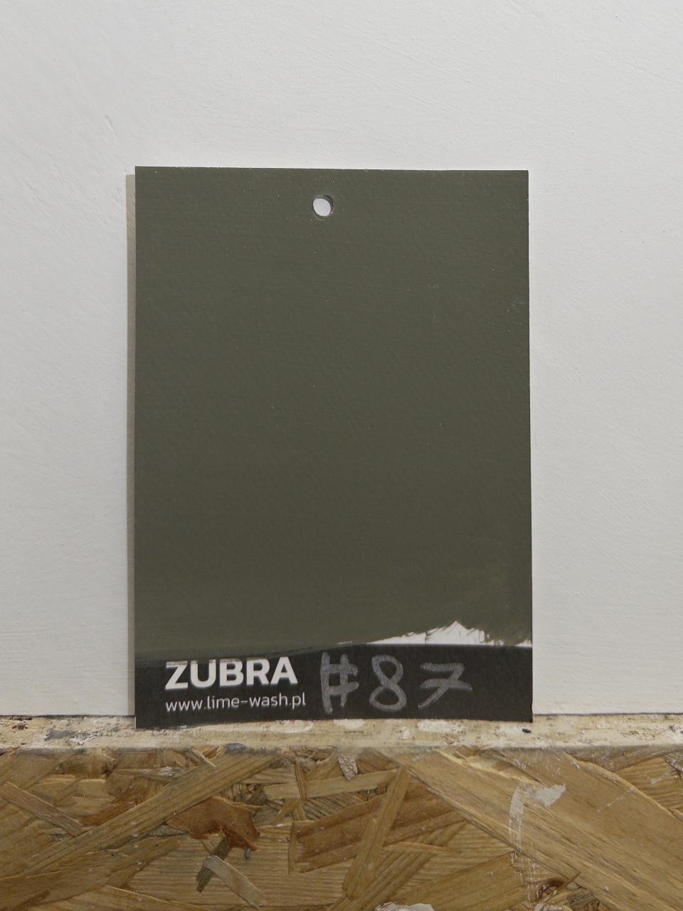 #87 Terre Verte – Limewash Paint