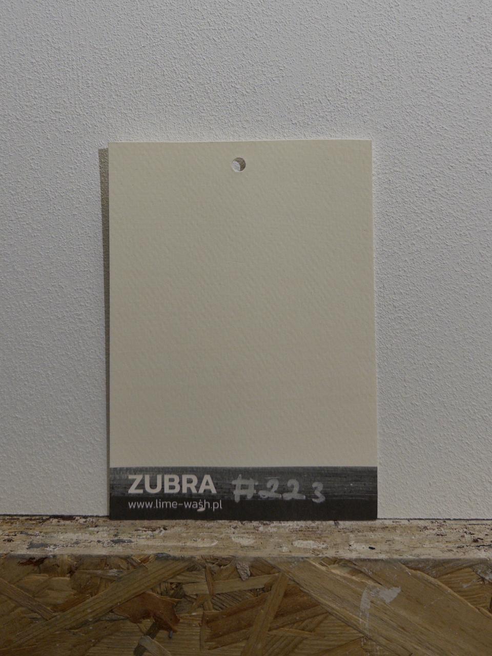 #223 Perle de Sable – Limewash Paint