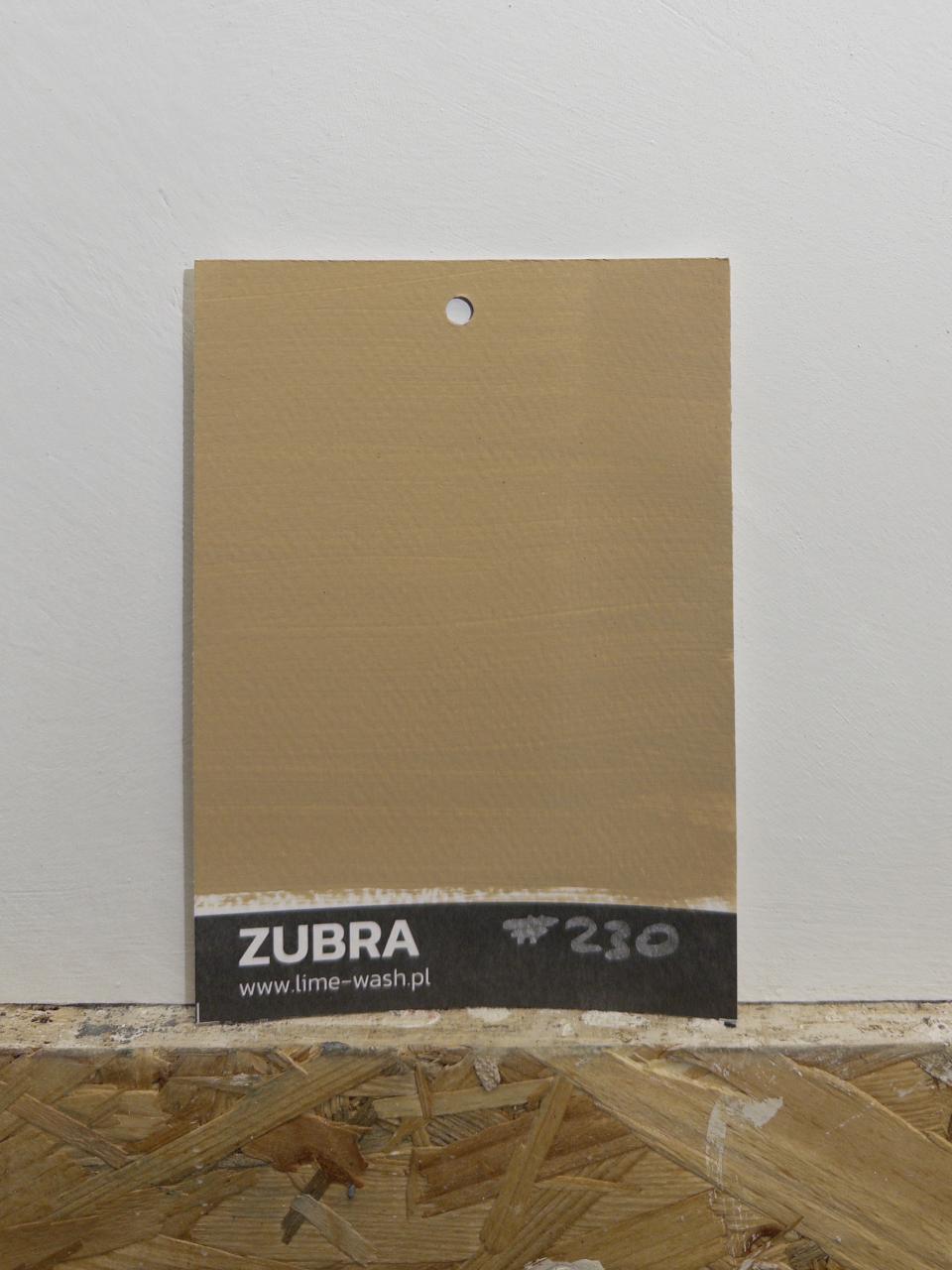 #230 Sable Rustique – Limewash Paint