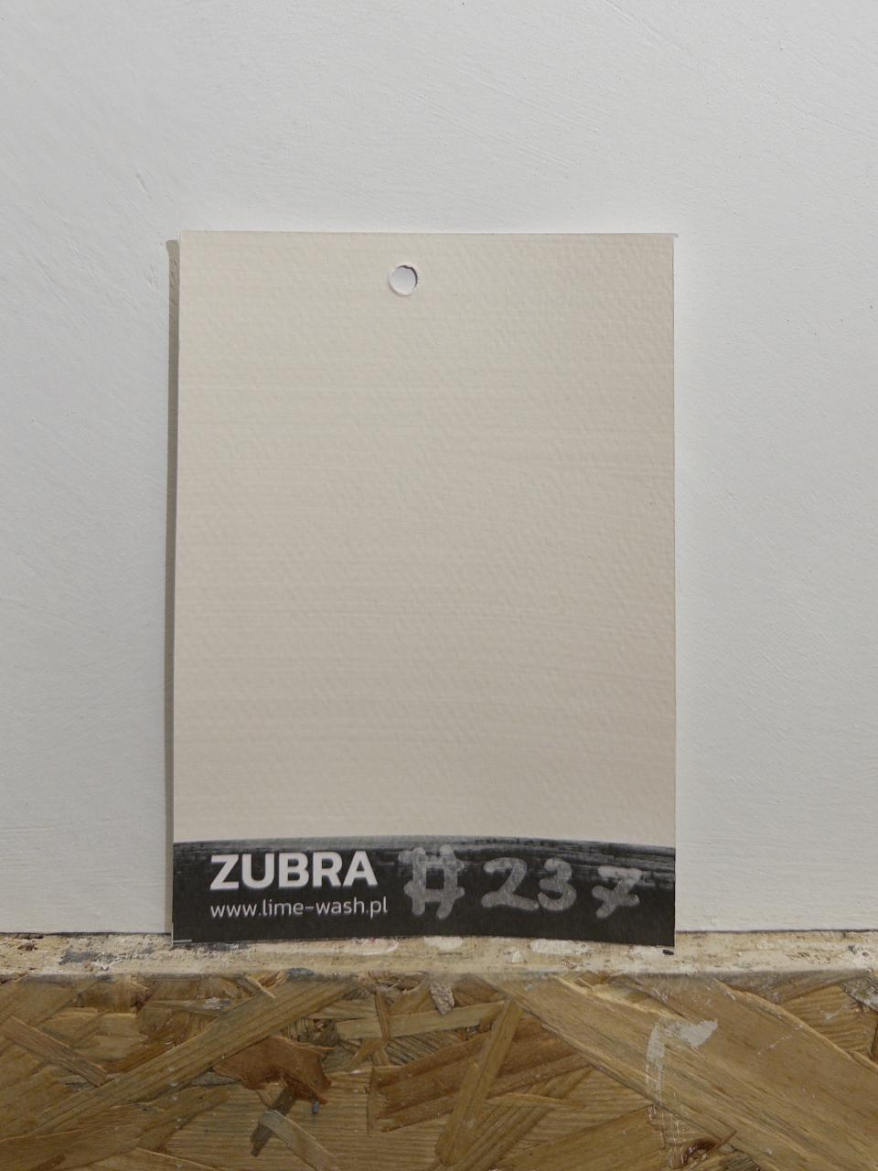 #237 Whisper Beige – Limewash Paint