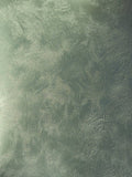 #6 Soft Eucalyptus Saharus sand-effect paint on a wall