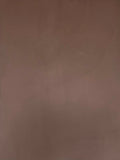 #10 Truffle Stone Romanus clay plaster on a wall, close-up of the matte texture