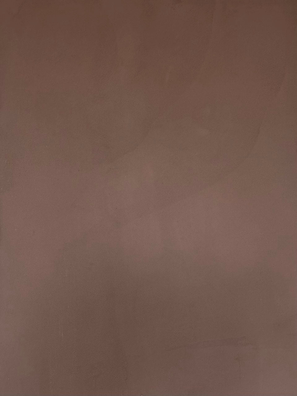#10 Truffle Stone Romanus clay plaster on a wall, close-up of the matte texture
