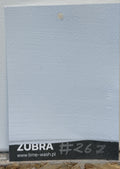 #267 Pale Horizon limewash paint – hand-painted Colour Card swatch